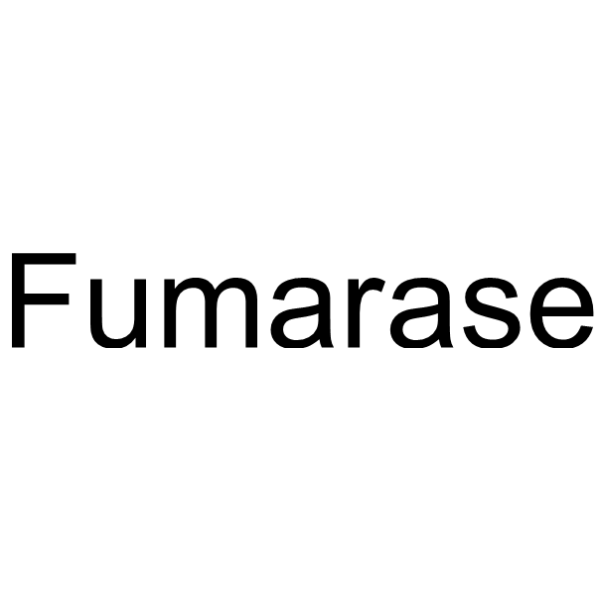 Fumarase 9032-88-6